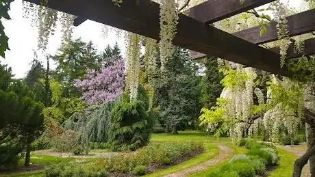 Photo of Comenius University Botanical Garden