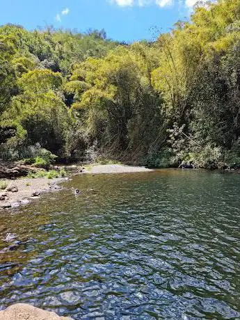 Photo de Bassin Pichon