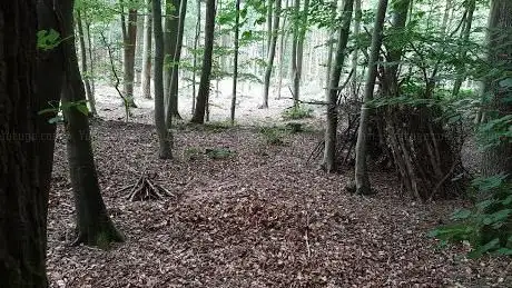 Photo de Maryland Wood