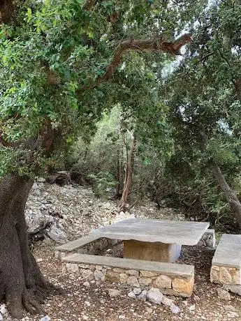 Photo de Area Picnic del Monte Malospes
