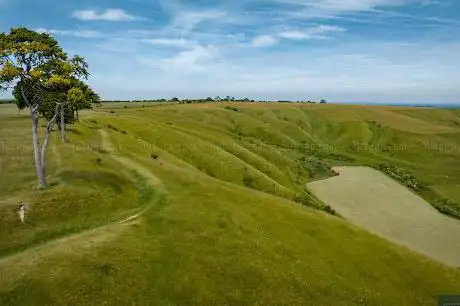 Photo de Roundway Down Iron Age Hill Fort