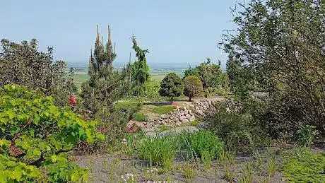 Photo de Arboretum Makču Pikču Paseka