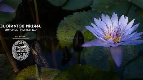 Photo of Jardin botanique Val Rahmeh-Menton