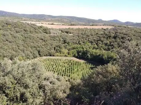 Photo of Cratère du Météore