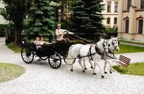 Photo de Reit- & Fahrstall Familie Metzig