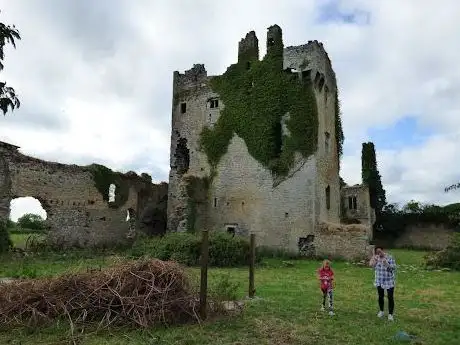 Photo de Ballygrennan Castle