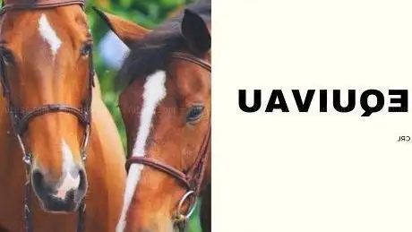 Photo de Equivau Crl