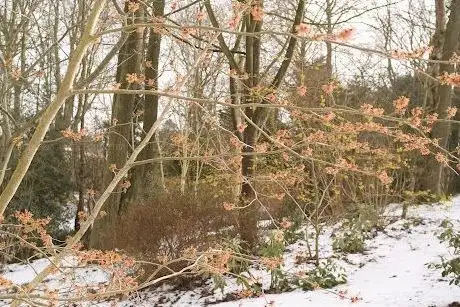 Photo of Jardin Le Vasterival