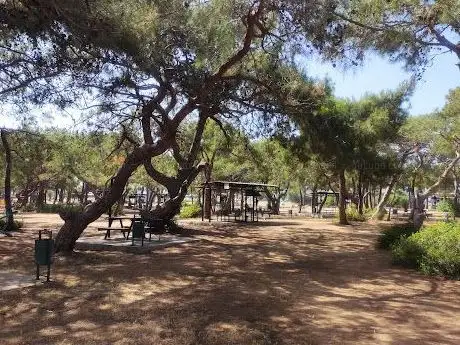 Photo de Manavgat Belediyesi Mesire Alanı