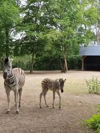 Photo of Zoo Veldhoven
