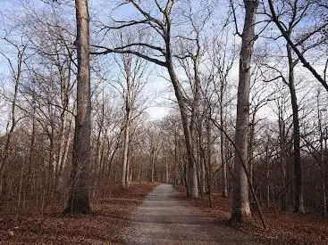 Edgar M. Queeny County Park