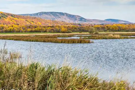 Photo of Réserve nationale de faune du Cap-Tourmente / Cap Tourmente National Wildlife Area