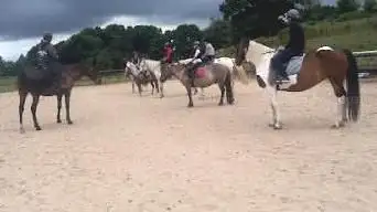 Photo de Centre Equestre de la Lys
