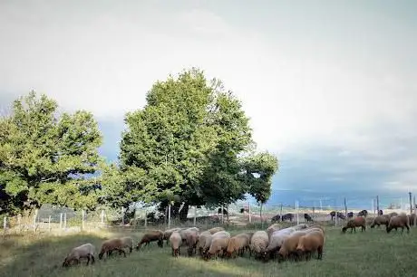 Photo de Ferme du grand bois