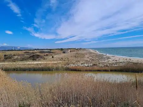 Photo de Torreta Mira Mare