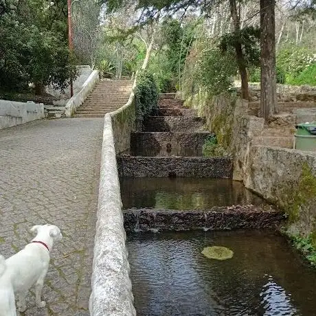 Photo de Nascente Água Monchique