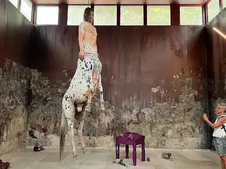 Photo de Danish Pavilion Biennale Arte