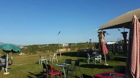 Photo de Parachute Air Club Maroc