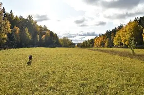 Photo de Rävsta