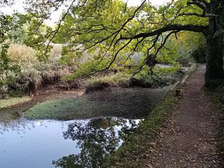 Photo de Jetty Marsh Basin
