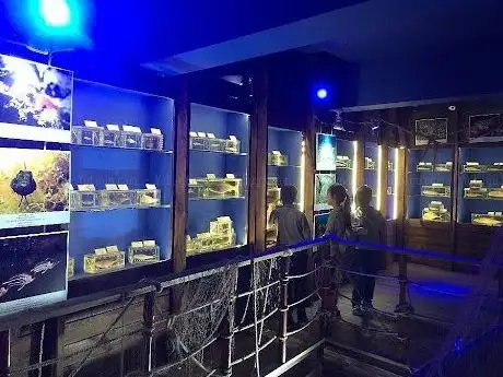 Photo de Deniz Bilimleri Eğitim Araştırma Merkezi