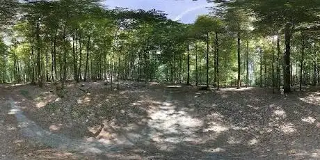 Photo de Alter Sportplatz Ruppertshütten