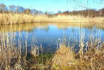 Photo de Zone écologique du Château