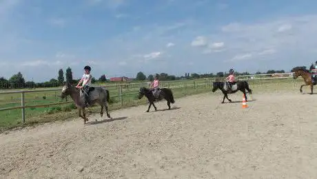 Photo de Poney Club du Belcan