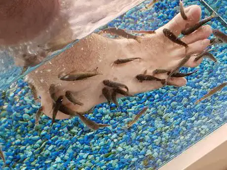 Photo de SPA ZENSATION - 1