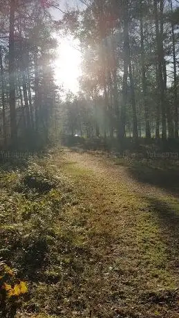Photo de Jakobsbergsskogen