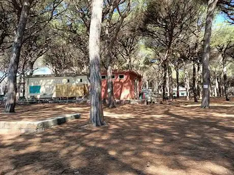 Photo de La pineta sul mare - Spinicci