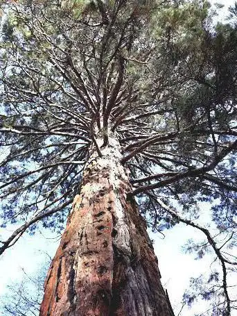 Foto de Site Arbor & Sens