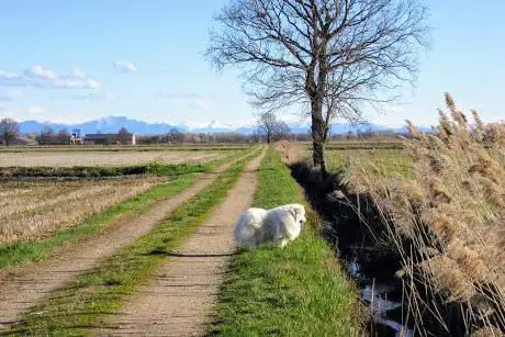 Photo de Parco Agricolo Sud Milano