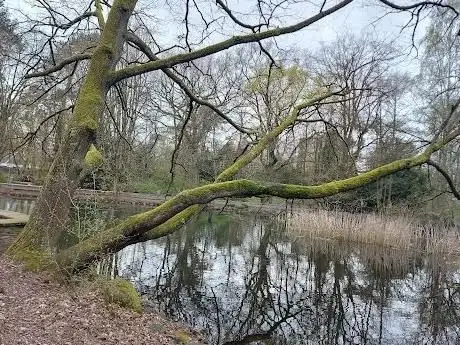 Photo de Ententeich Ost Park