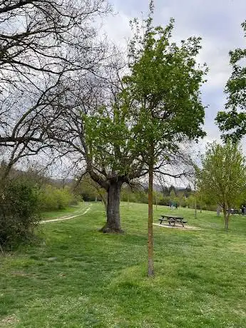 Photo de Area picnic Armentia