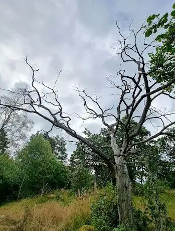 Photo de Oxhagens Naturreservat
