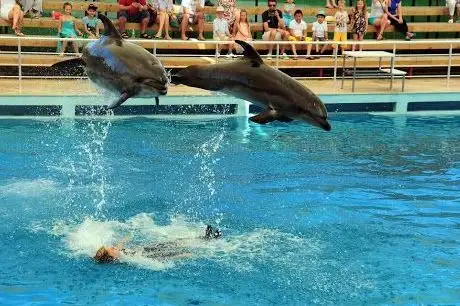Photo de Aksu Dolphinarium