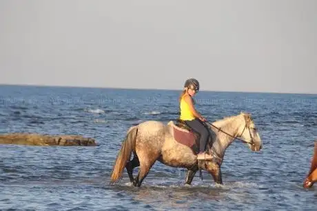 Photo de Ceylo Ranch