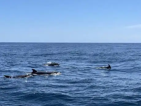 Photo de Algarve Charters