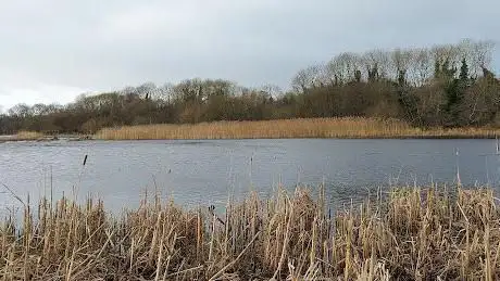 Randalstown Forest Bird Hide