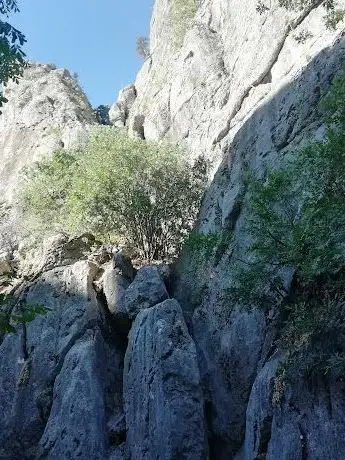 Photo de Direkli Mağarası