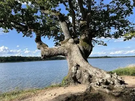 Photo de Berges de l'étang de la Mer Rouge