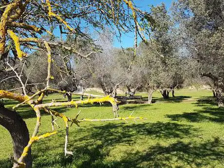 Photo de Parc Mas LluÃ­