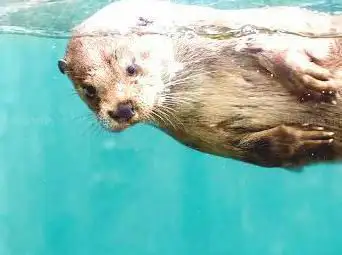 Foto de AQUA Aquarium & Wildlife Park