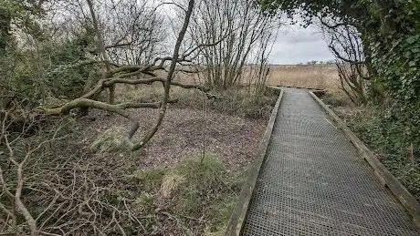 Photo de Pollardstown Fen View