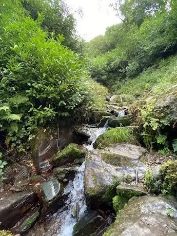 Photo de Ballysaggartmore Waterfall