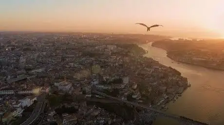 Photo de Look at Porto