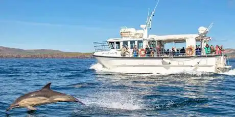 Photo de Dingle Boat Tours