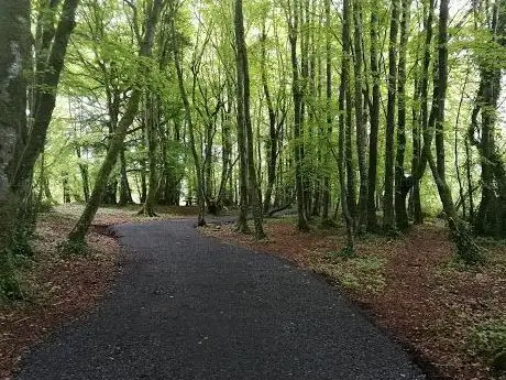 Photo de Carrick Wood Lough Ennell