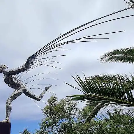 Photo de Icaro Salvado
